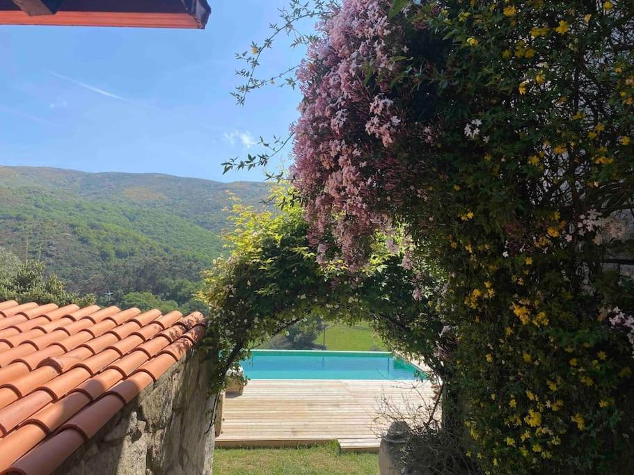 La Loba - Un Pequeno Paraiso A Tu Alcance Villa Fornelos de Montes Ngoại thất bức ảnh