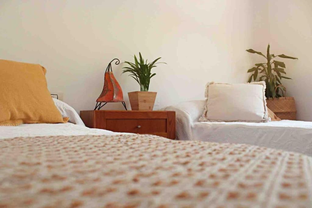 La Loba - Un Pequeno Paraiso A Tu Alcance Villa Fornelos de Montes Ngoại thất bức ảnh